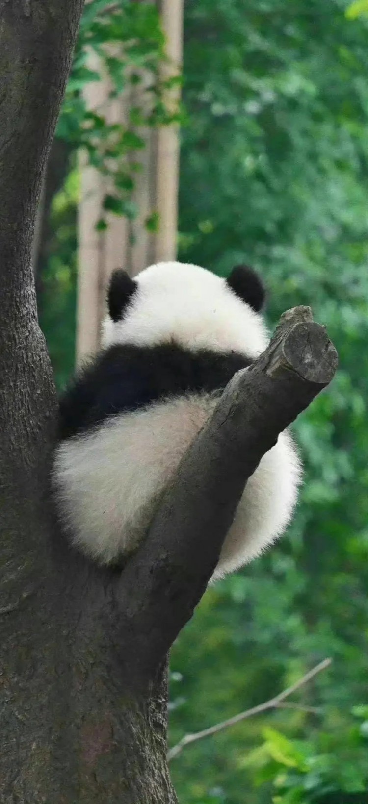 比特幣三年半沒出金一分錢的主要原因 比特幣三年半沒出金一分錢的主要原因