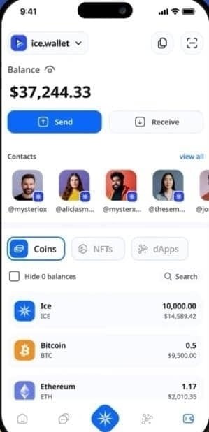 ice冰幣以后值不值錢 上不上交易所白皮書寫的都很好