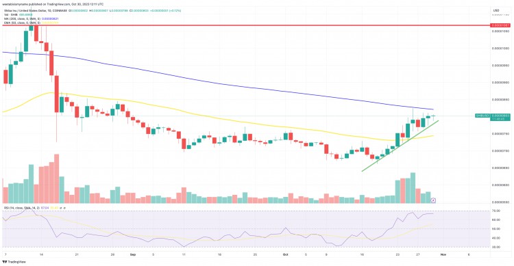 [Crypto Artist]鯨魚維持 0.000008 柴犬價(jià)格預(yù)測，美元水平 – SHIB 下一
