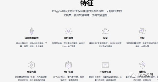 Matic：抓住下一個增長點，牛市百倍收益不再是夢想