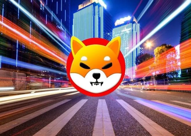 距離柴犬（SHIB）沒有刪除一個零已經(jīng)過去多少天了？