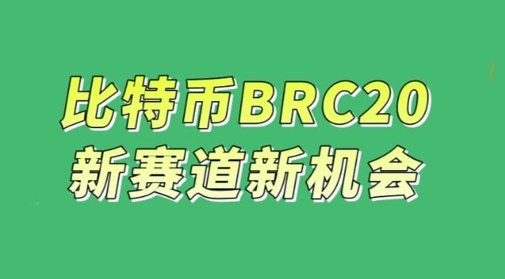 2021年SHIB,是為了對(duì)抗交易所,“提幣運(yùn)動(dòng)”
