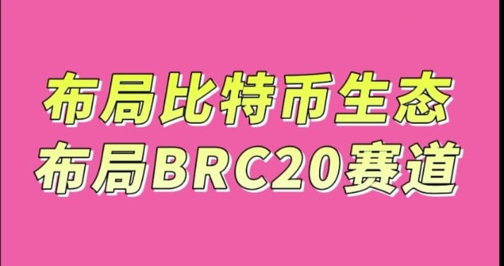 比特幣鏈上的銘文代幣,才是真正去中心化,無(wú)主貨幣!
