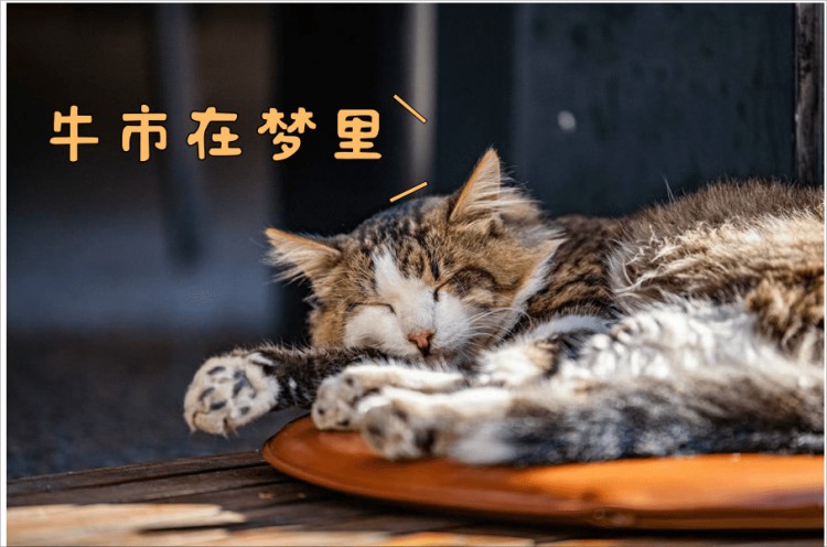 $BTC 討論現(xiàn)階段是牛市,還是熊市,都是毫無意義的