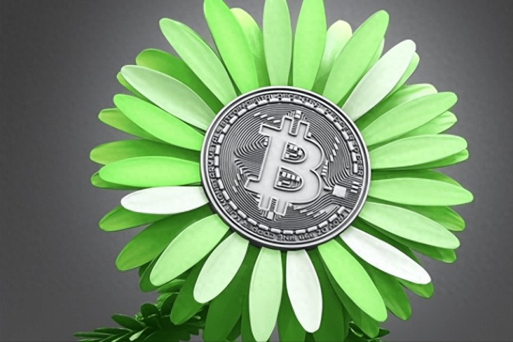 11 月 9 日：比特幣（BTC）試圖突破 36,000 美元，山寨幣是綠色的