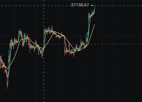 BTC比特幣半年漲幅驚人，歷時原因分析。牛市能否準備好？