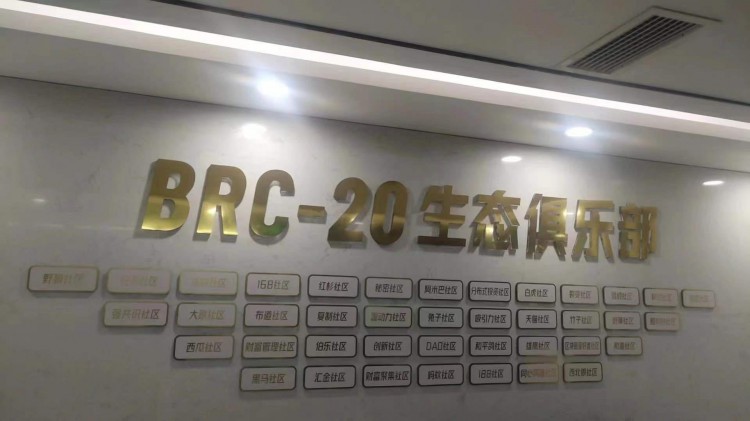 兩點一線龍一龍二確定一個生態(tài)ordi stas = brc2
