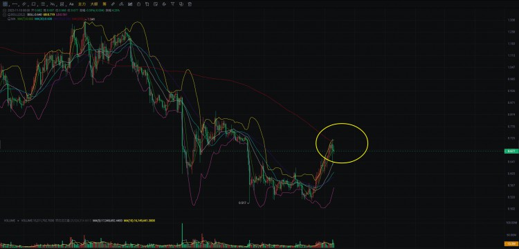 EOS柚子:自治社區(qū)與代幣經(jīng)濟的重要性