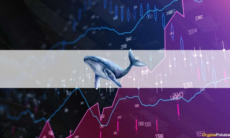 XRP、ETH 或 BTC——鯨魚(yú)在最近的反彈中從幣安撤回了什么？ （數(shù)據(jù)）