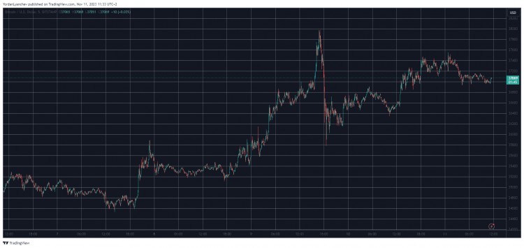 在 FTX 在復(fù)興傳聞中，F(xiàn)TT 每周爆炸 250%，BTC 持平于 3.7 一萬(wàn)美元(周末觀察)