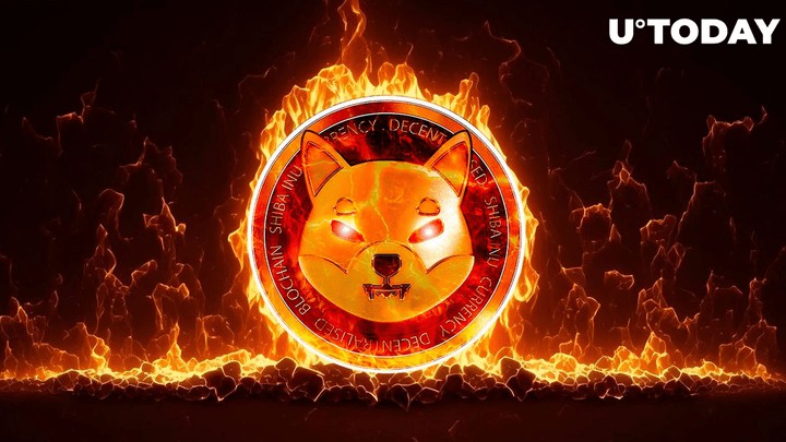 焚燒神秘鯨魚 1 億只柴犬，SHIB 股價飆升 1,351%
