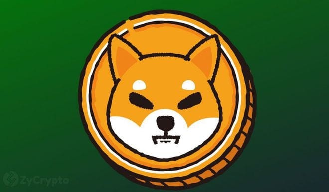 Shiba Inu (SHIB) 價(jià)格預(yù)測(cè)：本周是否可以觸及 0.00001 美元？