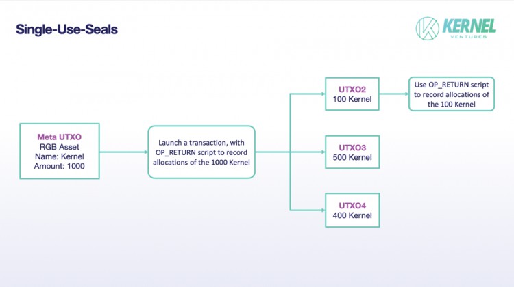 [HTX Research]Kernel Ventures：RGB 能否復(fù)刻 Ordinals 的熱