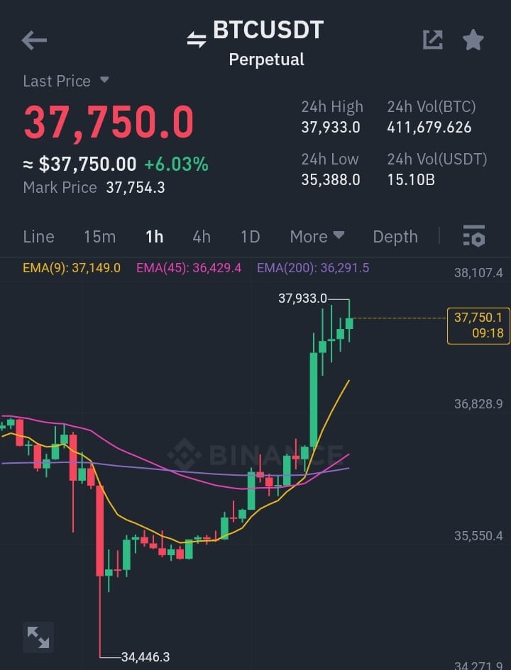 BTCHI交易者!這不是真正的泵