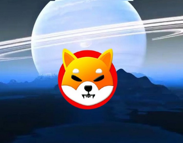 柴犬預計將上升 創(chuàng)月度新高的74%

