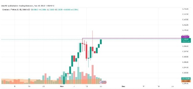 11 月 20 日 ADA 和 BNB 價(jià)格分析