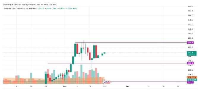 11 月 20 日 ADA 和 BNB 價(jià)格分析