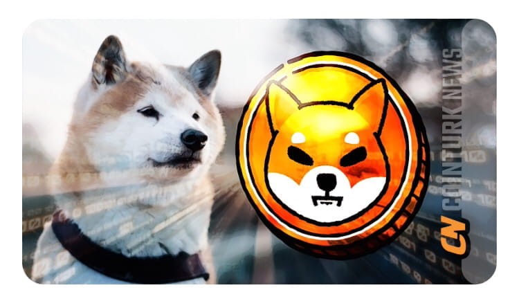 2025年柴犬利潤將達到50倍?是的,這是可能的技術(shù)分析