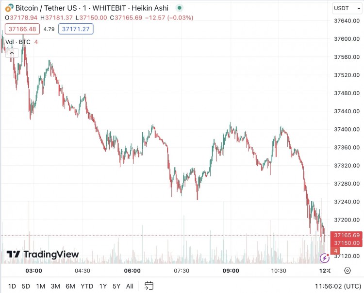 Cointelegraph 分析:比特幣鯨魚(yú)實(shí)體正在