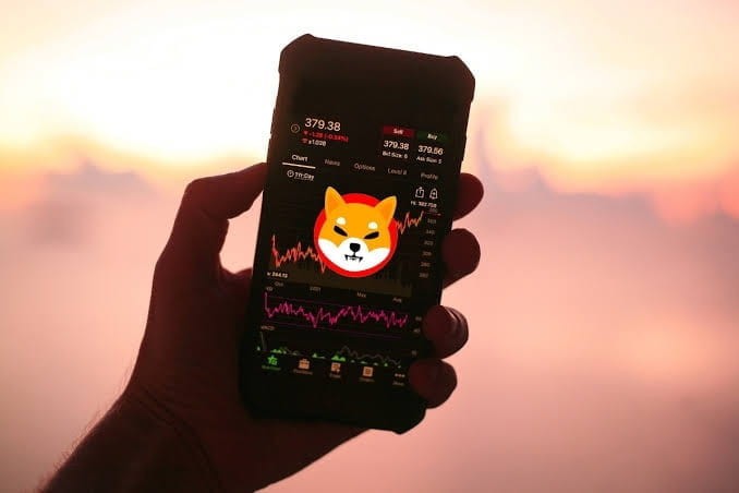 柴犬預(yù)計將達到50美分:一百萬投資者希望柴犬能夠達到 0