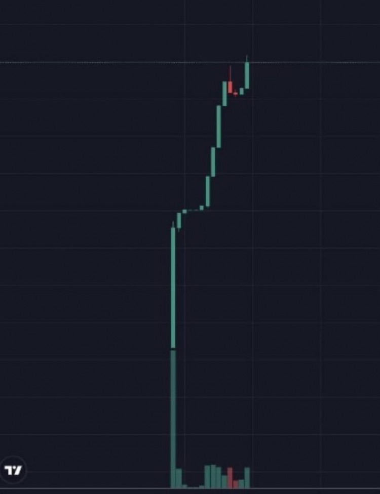 $DOGE2015 年你錯過了