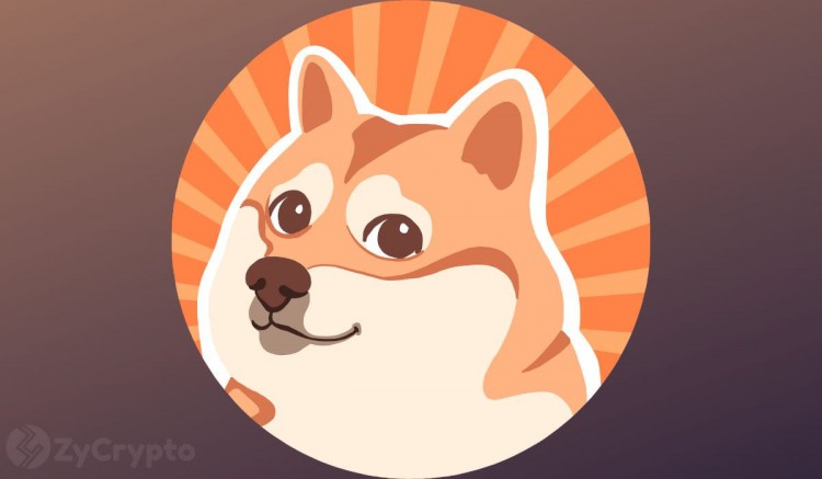 “很看漲”的人 Shibarium 勢(shì)頭中，Shiba Inu 準(zhǔn)備大規(guī)模噴發(fā)，SHIB 價(jià)格將達(dá)到