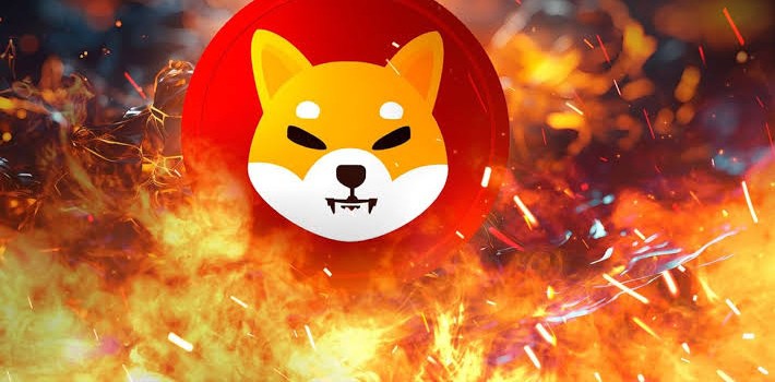 [Crypto360]柴犬 (SHIB) 周燃燒率降至數(shù)月來最低水平，炒作消退