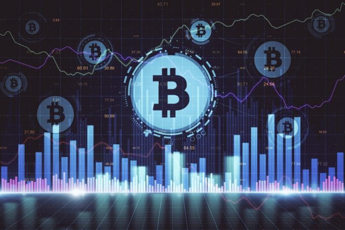 感恩節(jié)，避免成為火雞戰(zhàn)略的受害者