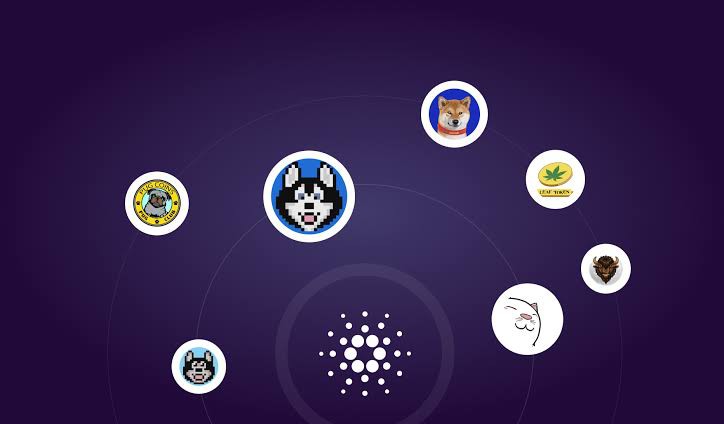 [Crypto360]將要推出的 Meme 硬幣將超越以太坊和卡爾達諾