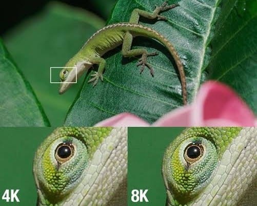 4K 和 8K 電視之間做出決定需要權(quán)衡各種因素