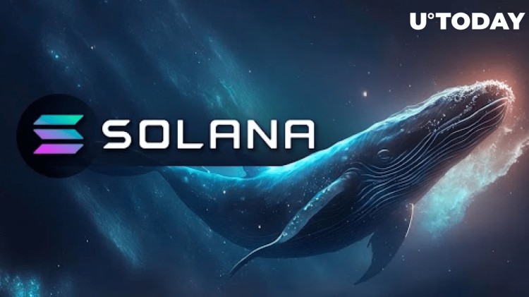 Solana （SOL） 由于面臨拋售風(fēng)險(xiǎn) Whale 大膽舉動(dòng)