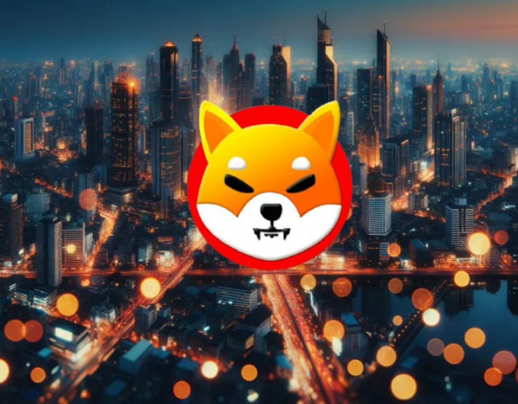 柴犬:2023 年 12 月 SHIB 能走多高?