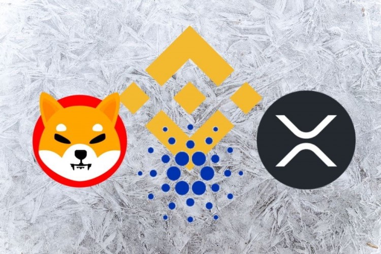 幣安通告:SHIB、ADA、XRP 持有者應(yīng)注意幣安加密貨幣