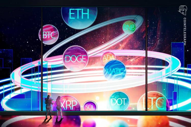 分析師列舉了一些可能表現(xiàn)出色的替代幣