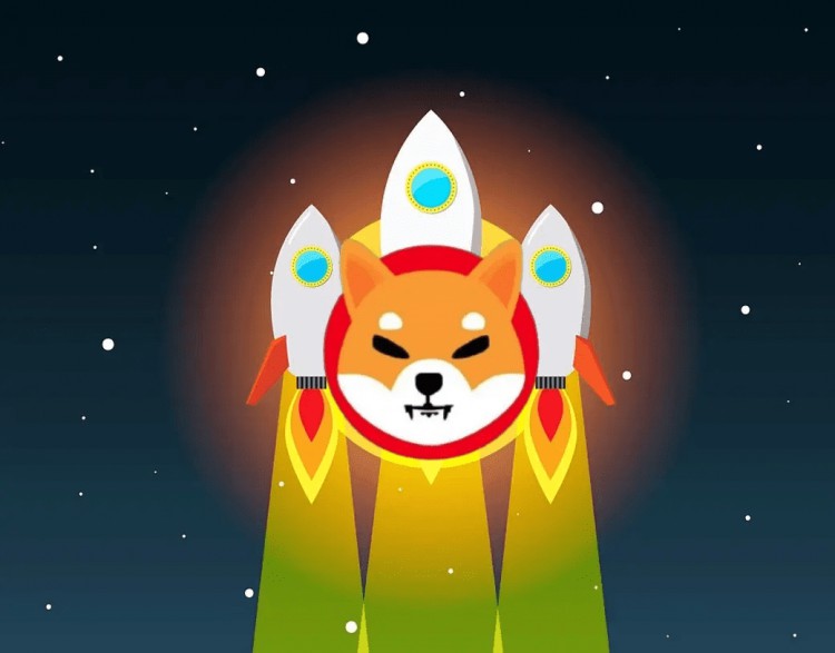 Shiba Inu(SHIB):2023年12月18000美 Shiba Inu(SHIB):2023年12月18000美