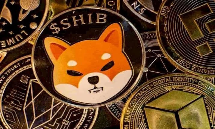[Crypto360]柴犬最新發(fā)布的成就