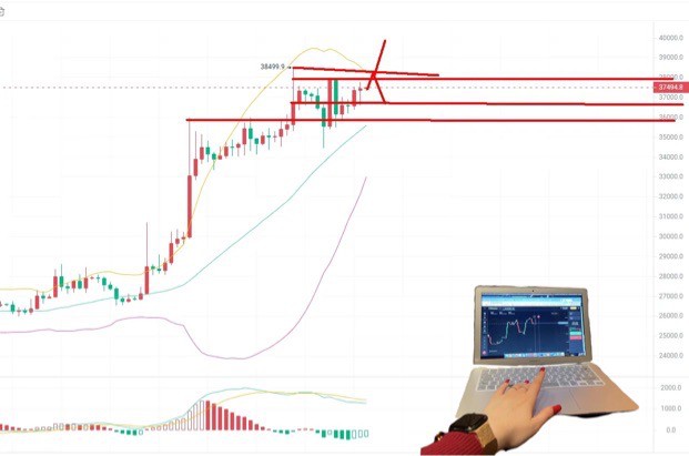 [哈希學(xué)院]比特幣（BTC）走不完的過(guò)山車
