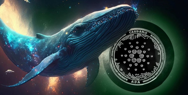 [Crypto360]伴隨著 ADA 價錢呈綠色上漲，卡爾達諾見證了 15 億美元鯨魚交易激增