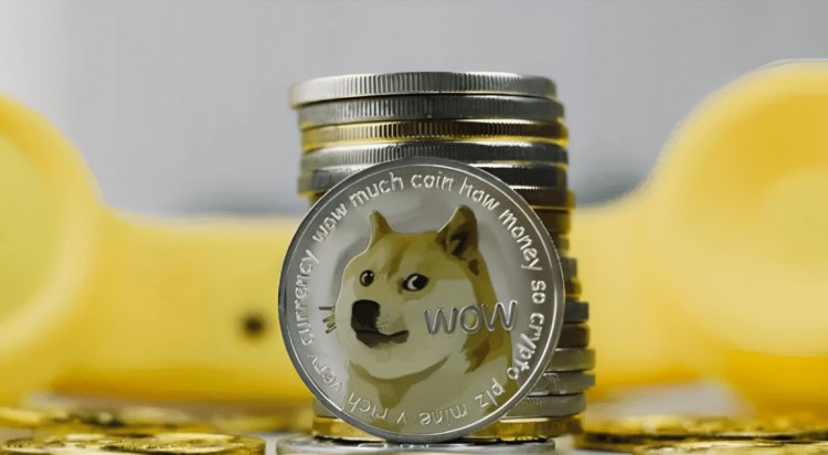 與DOGE競爭對手上漲超6000%,稱四周修正或在即