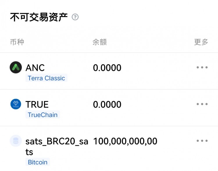 為何我要打sats銘文