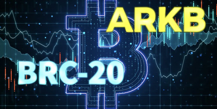 老鼠幣BRC20動(dòng)物園之首,ARKB值得購(gòu)買(mǎi)的ETF龍頭