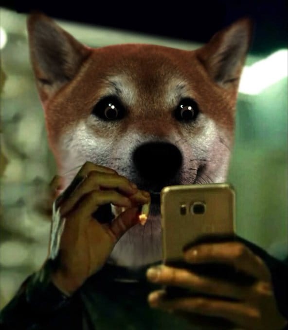 2024年前值得考慮的5種低價加密貨幣-Dogecoin、Cardano、Decentraland、