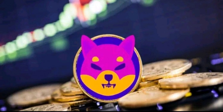 迪拜聚焦：柴犬在頂級(jí)外匯辦公室占據(jù)顯要地位