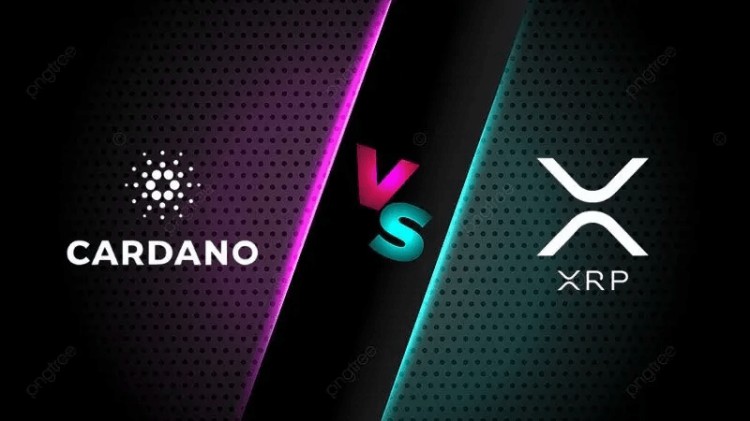 ADA vs XRP:2024年值得投資的幣種 ADA vs XRP:2024年值得投資的幣種