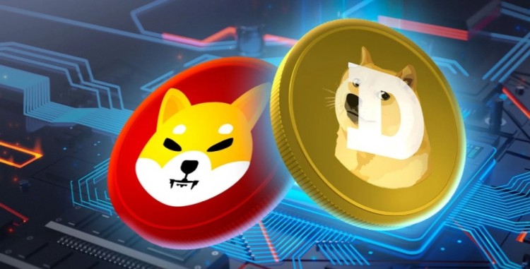 Shiba狗狗幣創(chuàng)始人否認(rèn)參與新的柴犬靈感項(xiàng)目