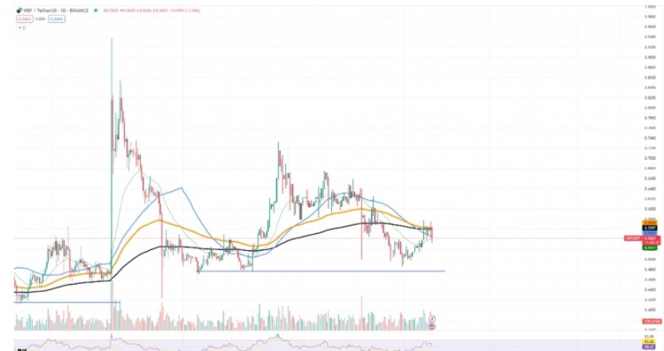 柴犬(SHIB)血洗：損失5%，比特幣(BTC)損失51,000美元，XRP死亡交叉較??？市場脆弱挑