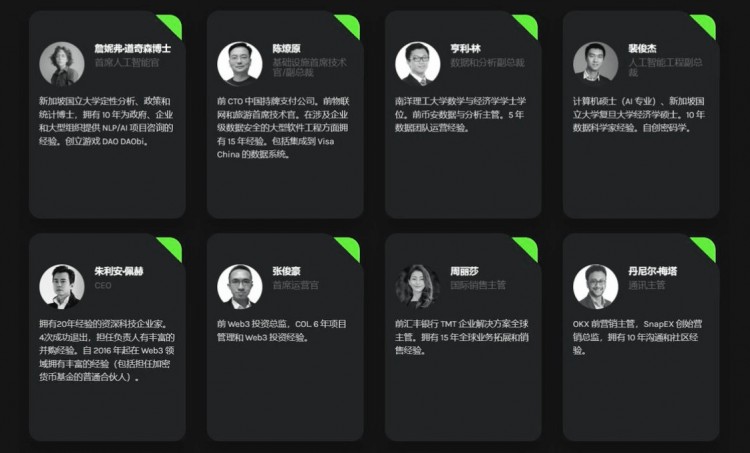 AI新秀KIP Protocol——值得期待