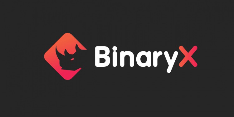 BinaryX 和 Binance 聯(lián)合送出BinaryX IGO 白名單！趕快注冊并參與抽獎！#B
