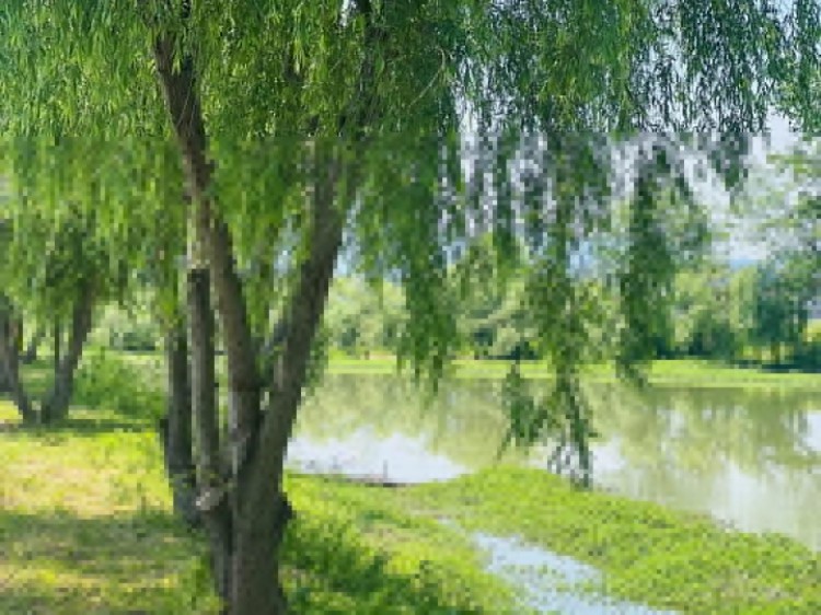 全職炒幣的現(xiàn)實(shí)生活挑戰(zhàn)