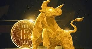 2024年的牛市將瘋狂無比？有哪些百倍幣可以提前埋伏？